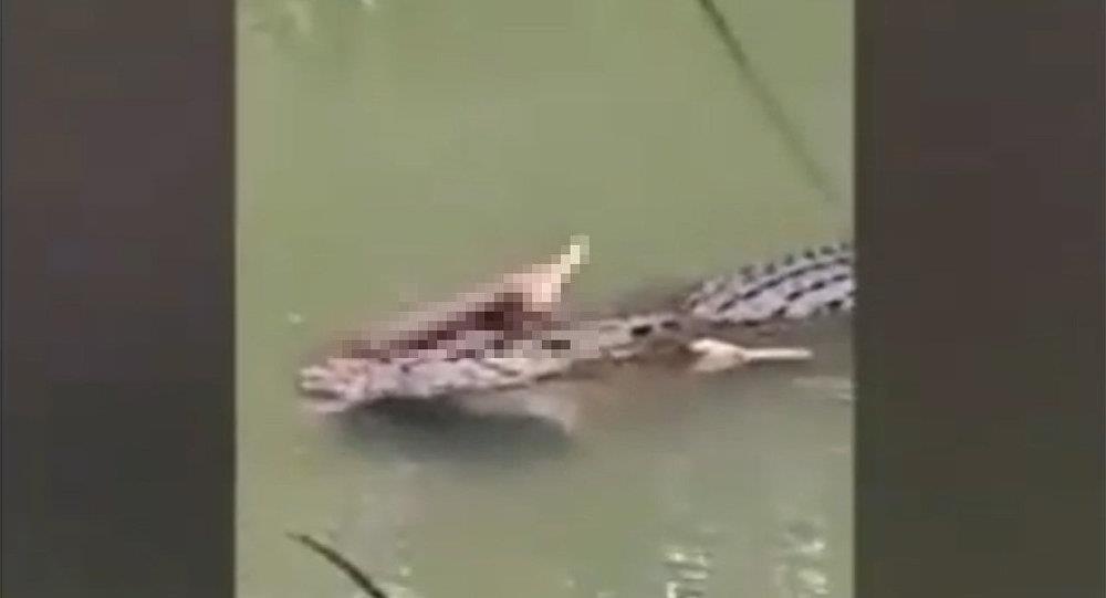 ca sau tan cong anh 1