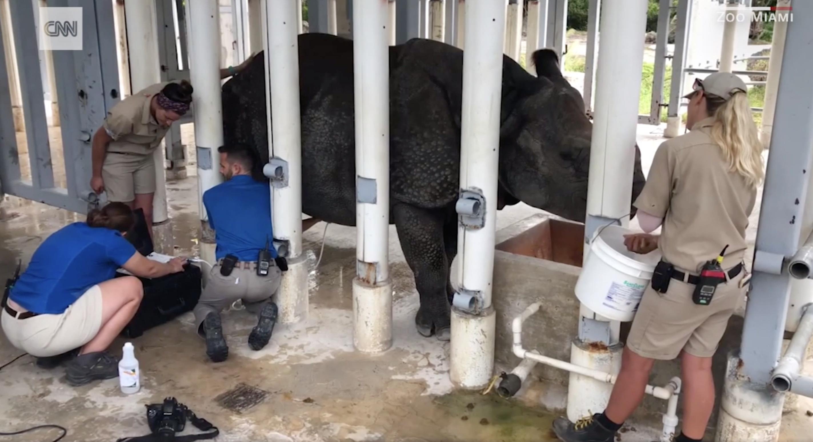 te giac thu tinh nhan tao dau tien anh 2