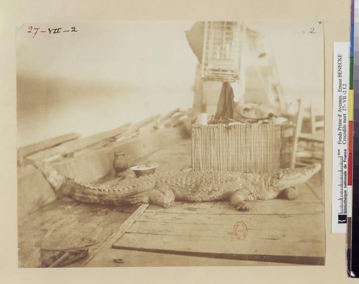 nhung buc anh duoc biet den som nhat the gioi anh 2