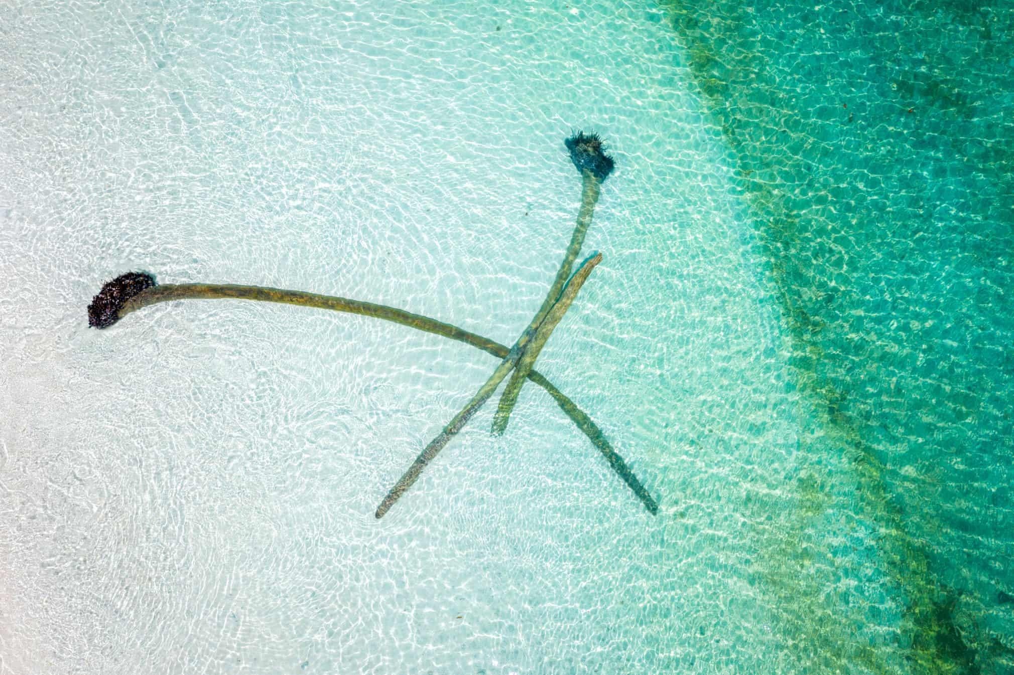 Nhung hon dao cua Tuvalu anh 4