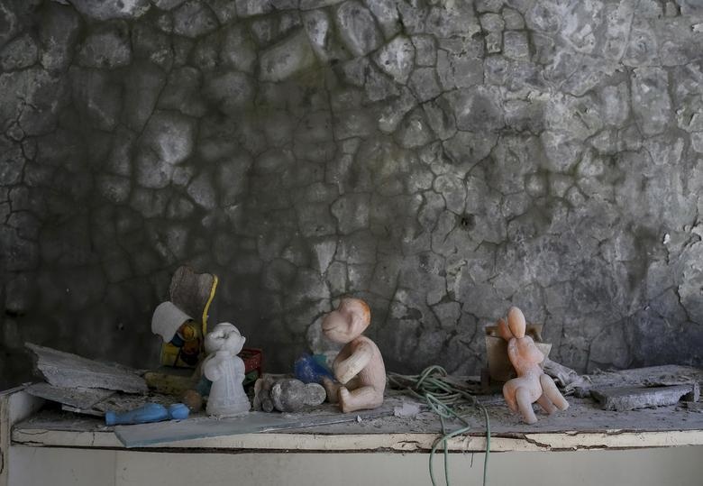 vung dat chet sau tham hoa Chernobyl anh 13