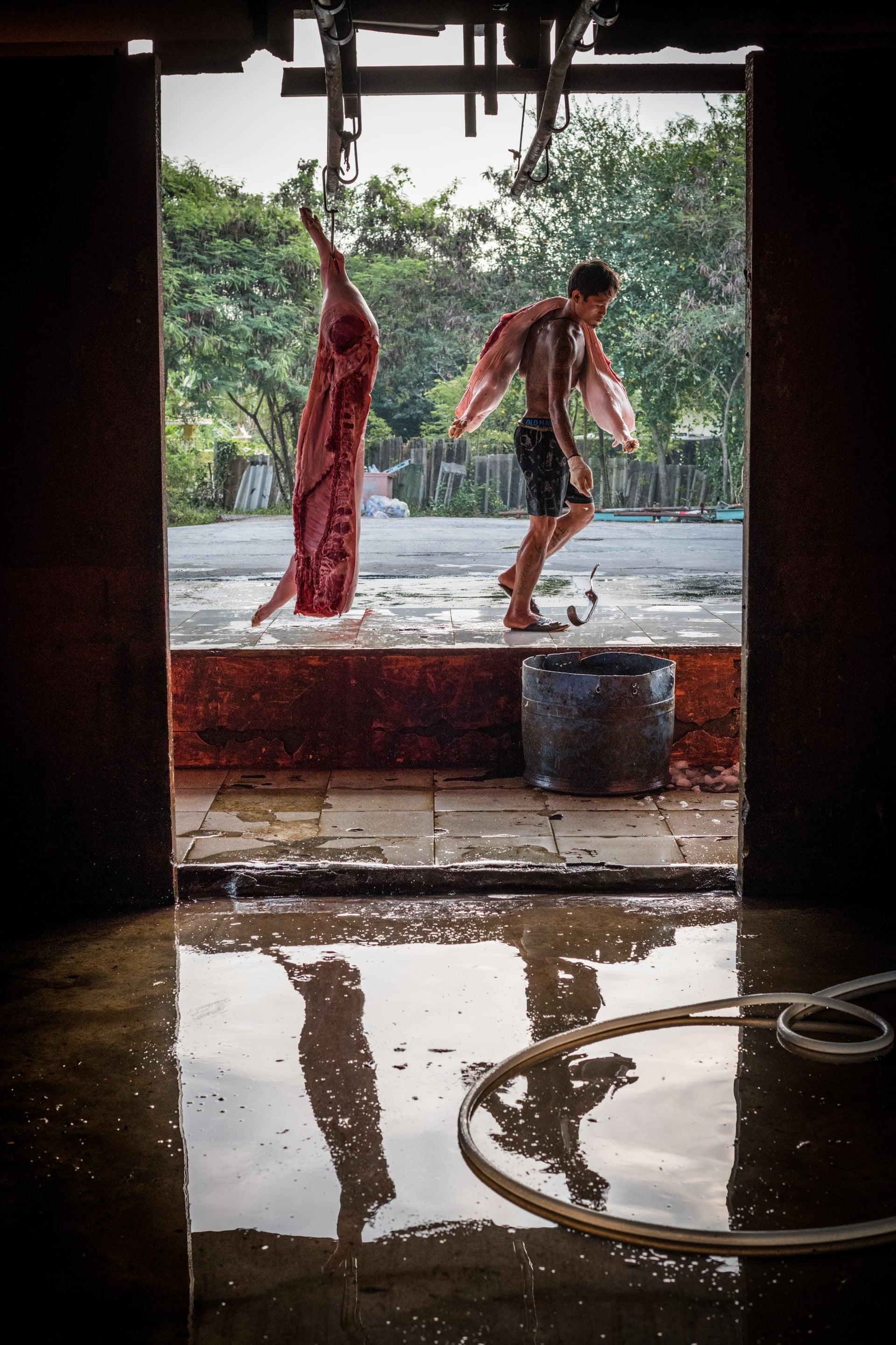 giet mo lon o Thai Lan anh 10