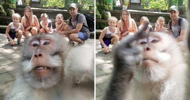 Buc anh khi 'selfie' cung du khach o Bali gay an tuong manh hinh anh