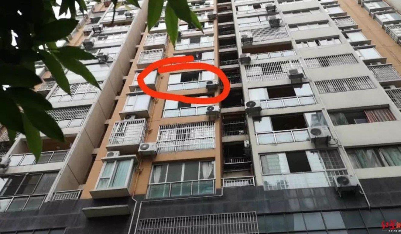 ném con qua cửa sổ ảnh 1 nem con qua cua so anh 1