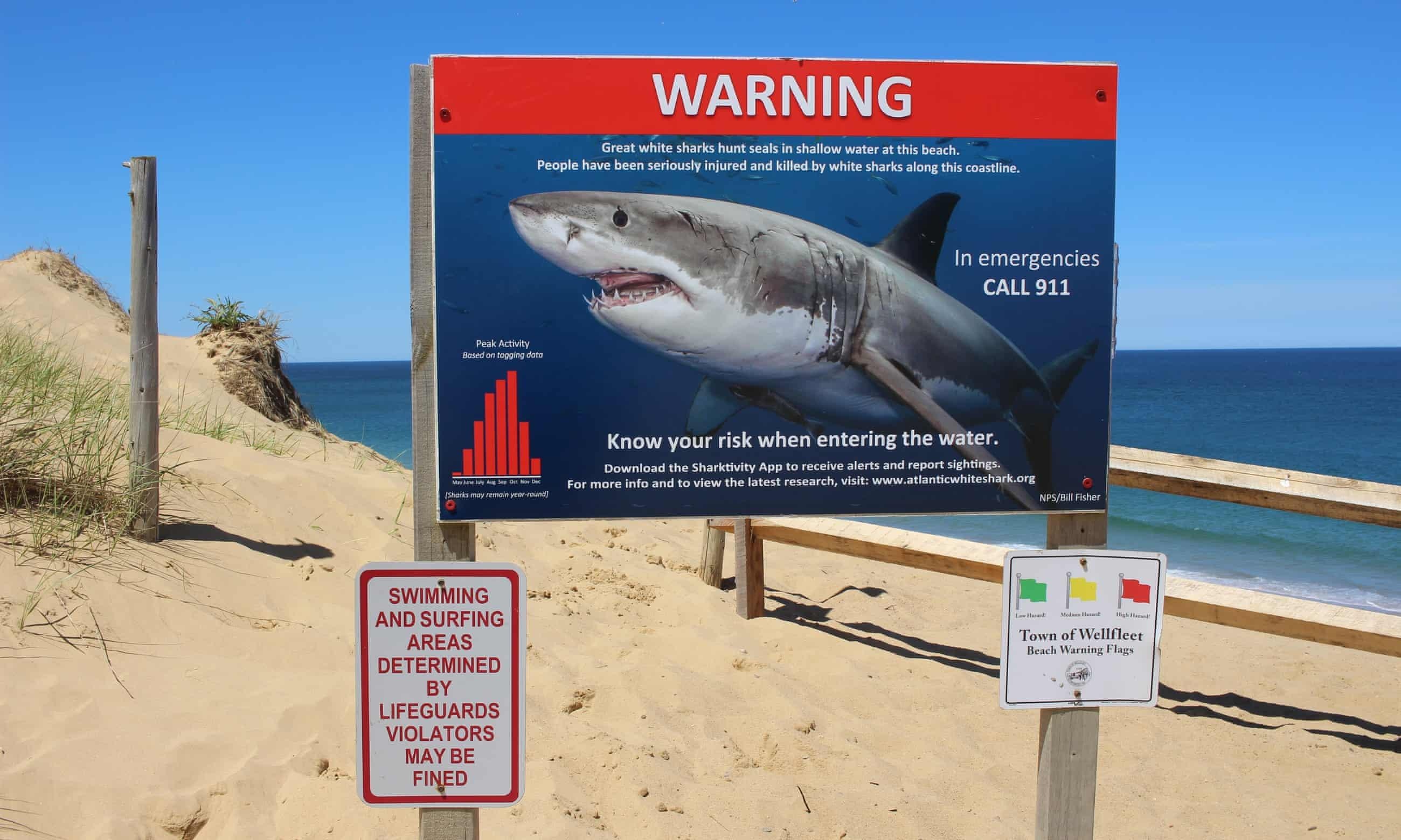 ca map trang o My anh 1