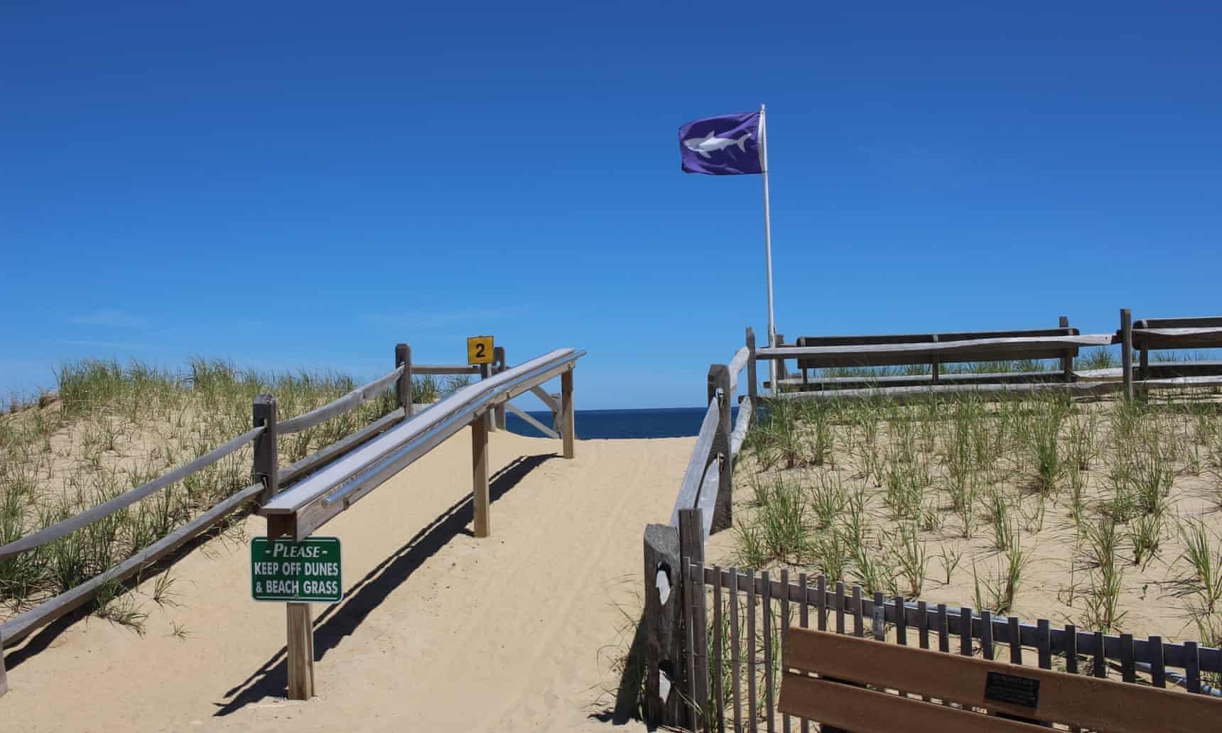 ca map trang o My anh 4