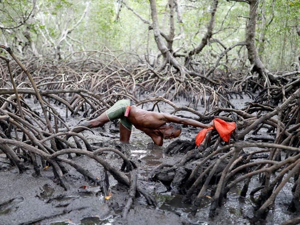 phân biệt khí hậu ảnh 3 phan biet khi hau anh 3