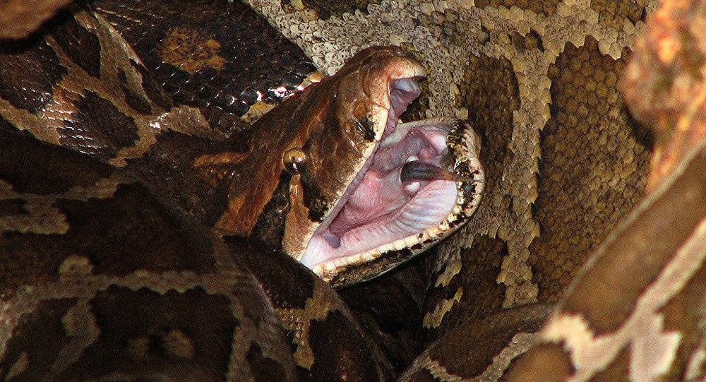 Tran 3 m giet chet chu khi dang tam hinh anh