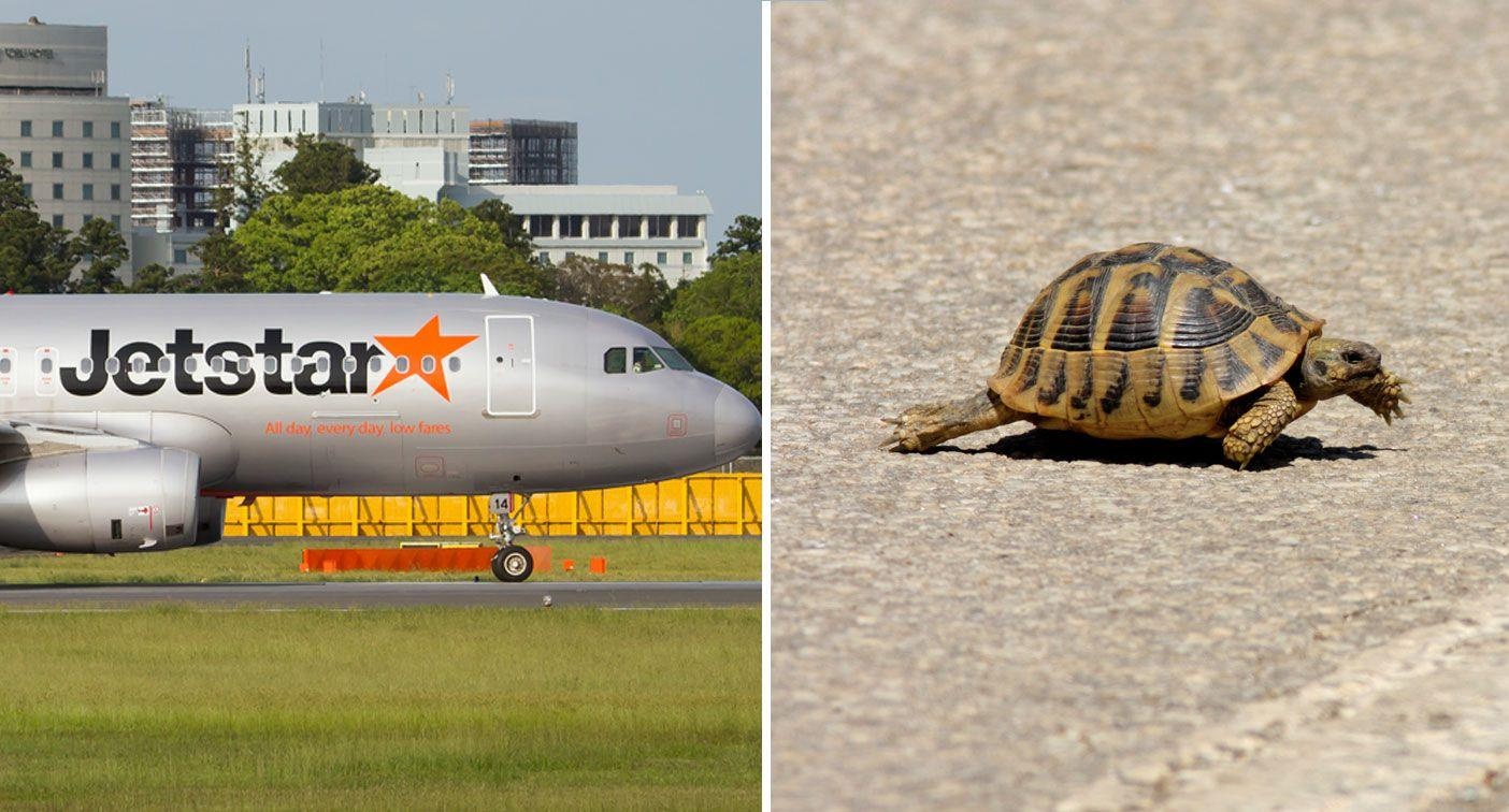 Rua bo qua duong bang khien ca chuyen bay bi hoan hinh anh