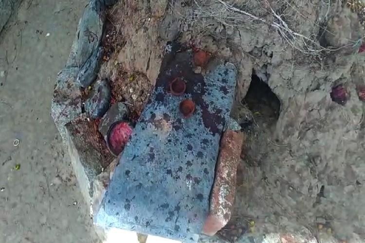 cat co de lay mau te than trong ngoi den An Do anh 1