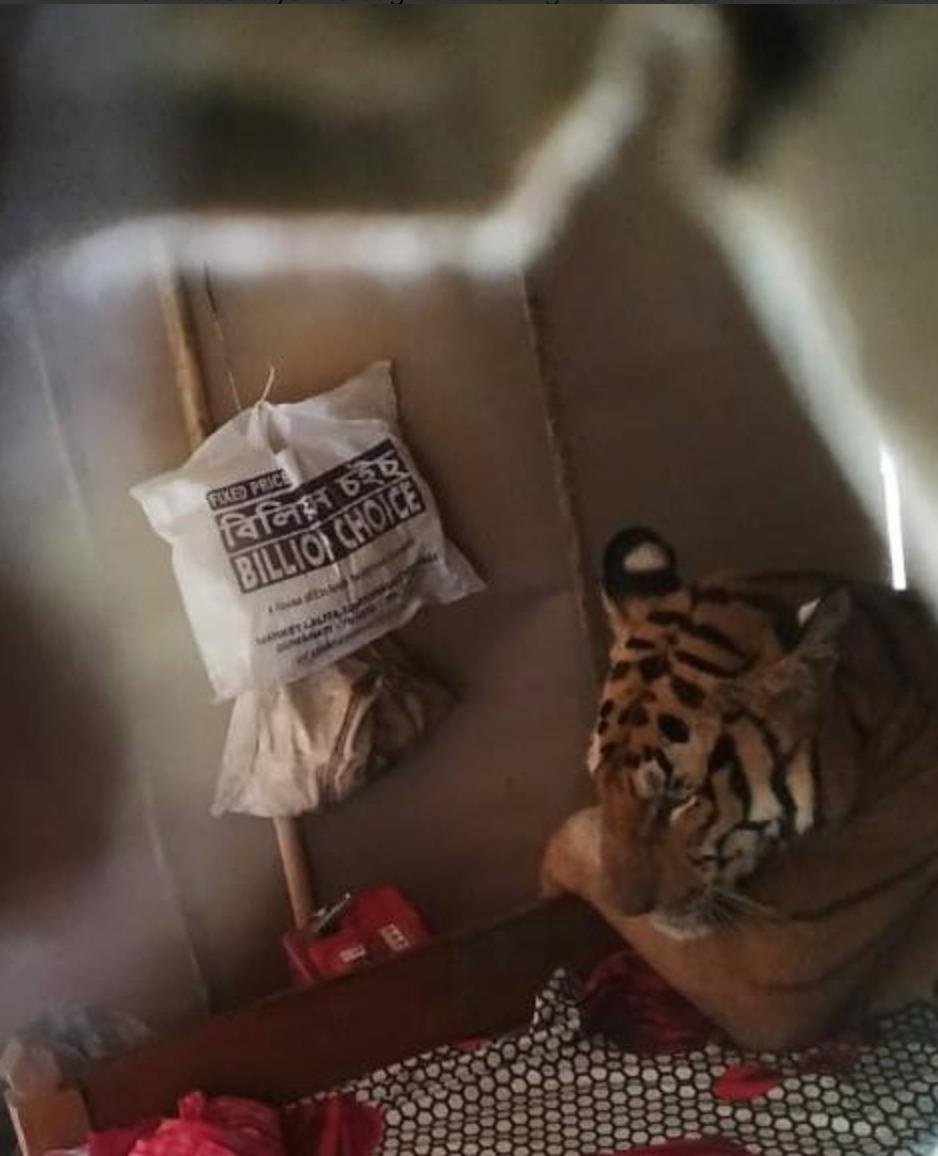 ho du di lac vao nha dan o An Do sau mua lu anh 2