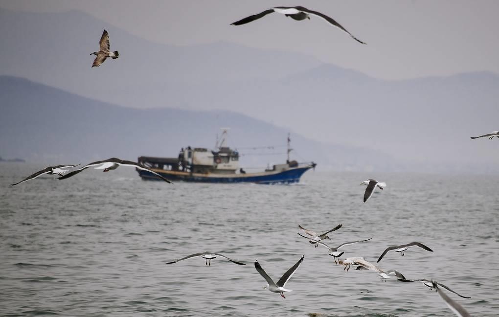 Trieu Tien bat giu tau ca Nga anh 1