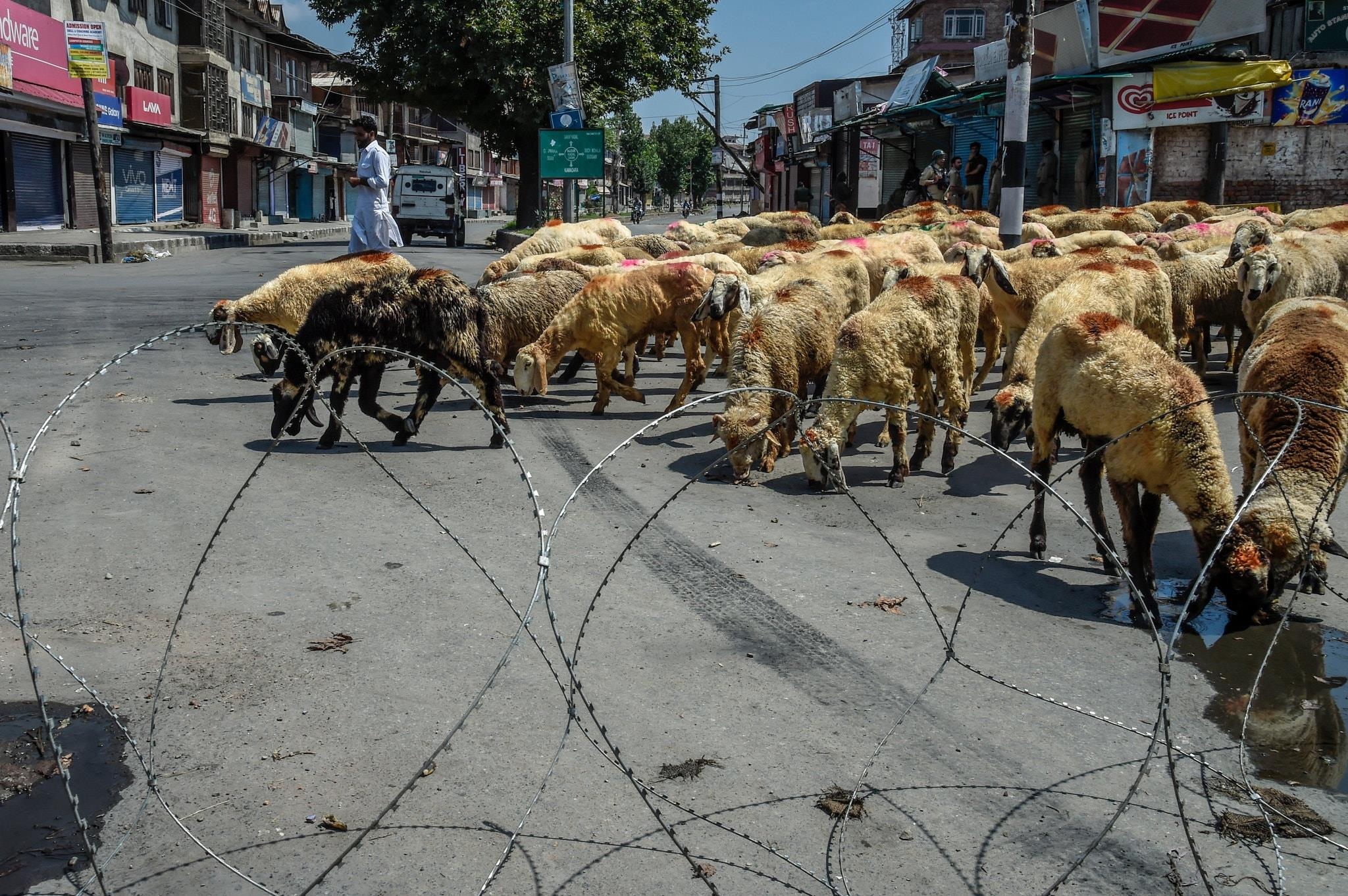 Dia nguc song ben trong Kashmir anh 6