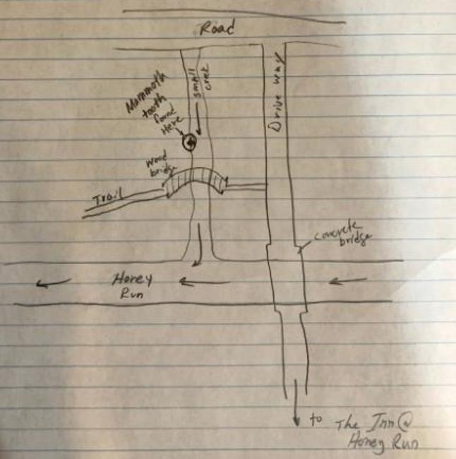 Cậu bé Mỹ 'khai quật' răng voi ma mút ảnh 2 Cau be My 'khai quat' rang voi ma mut anh 2