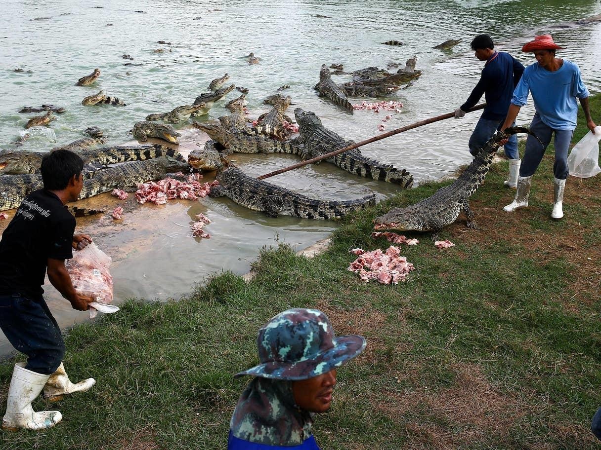 Cau be 10 tuoi bi ca sau an thit anh 1