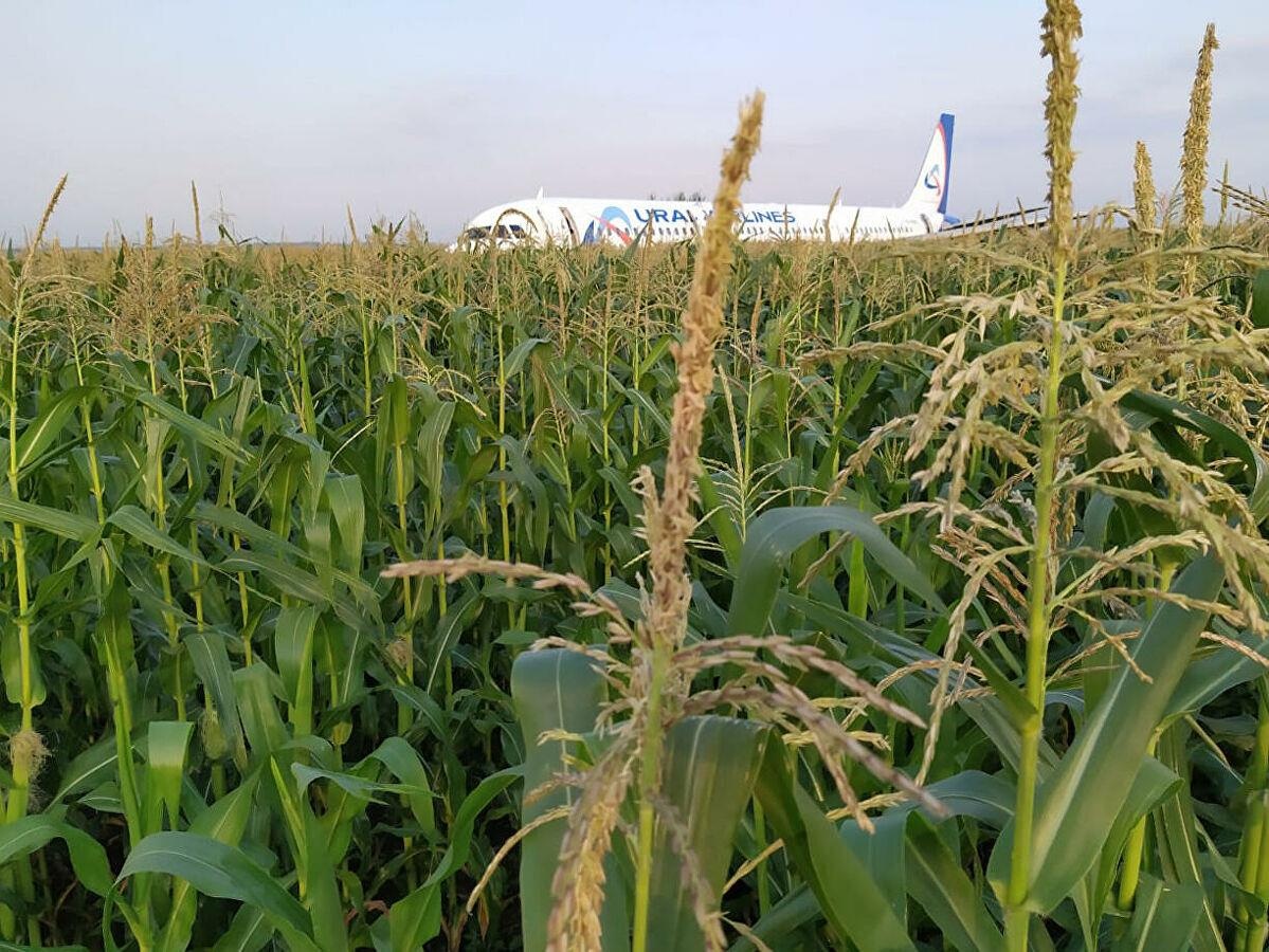 Phi công Nga xin lỗi hành khách ảnh 3 Phi cong Nga xin loi hanh khach anh 3