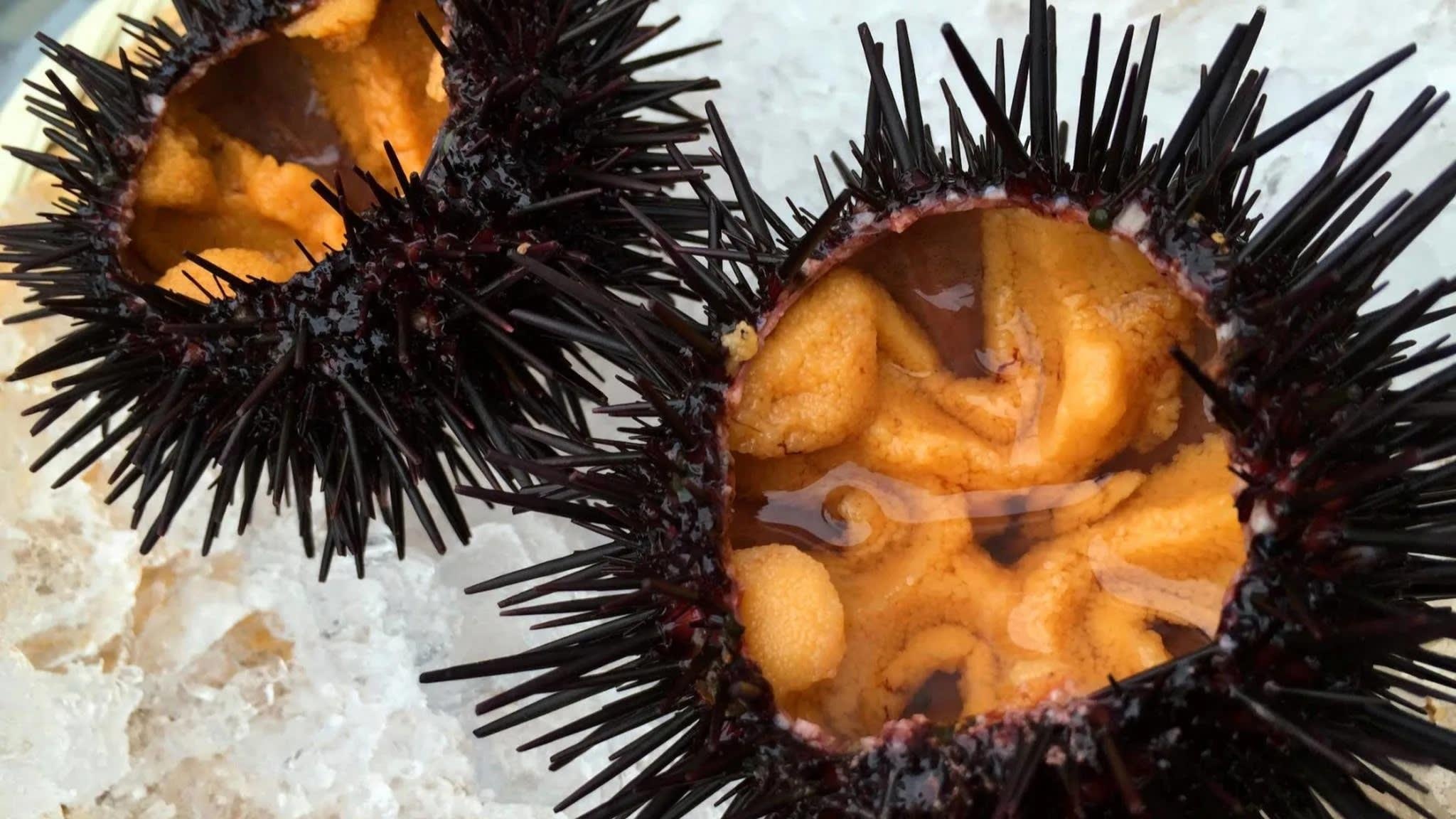 'Thien duong nhum bien' Nhat phat tai nho nha giau chau A hinh anh