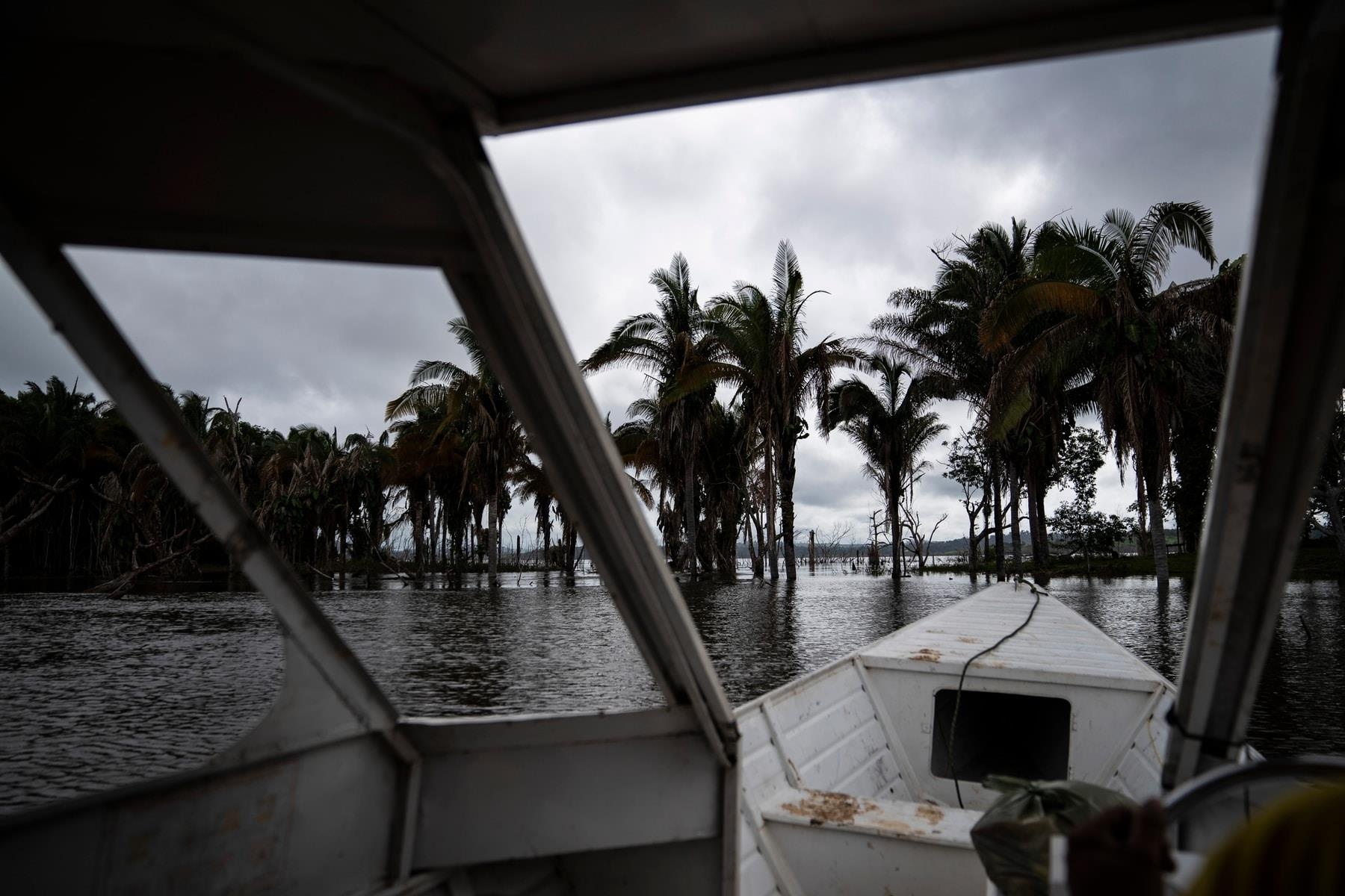 Dap thuy dien de doa cuoc song bo lac Brazil anh 8