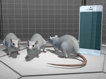 Apple va Samsung bi kien anh 2