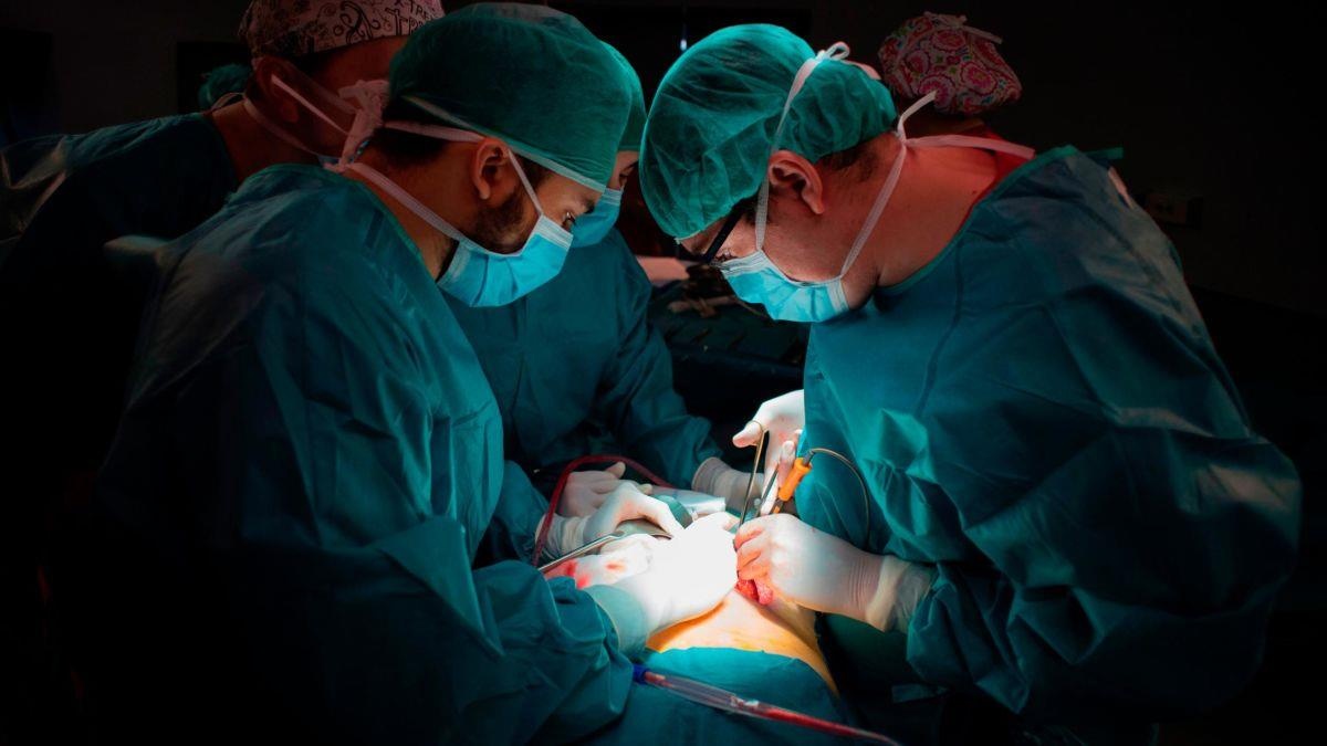 93.000 nguoi cho hien than, 3.500 qua than bi vut di moi nam o My hinh anh