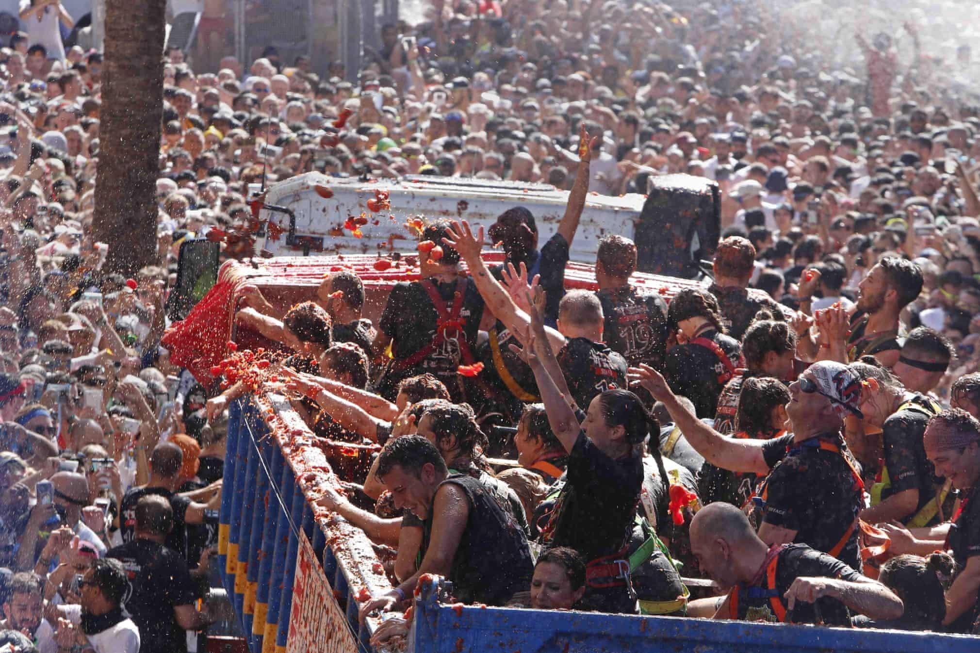 Lễ hội cà chua 'nhuộm đỏ' Tây Ban Nha ảnh 13 Le hoi ca chua 'nhuom do' Tay Ban Nha anh 13