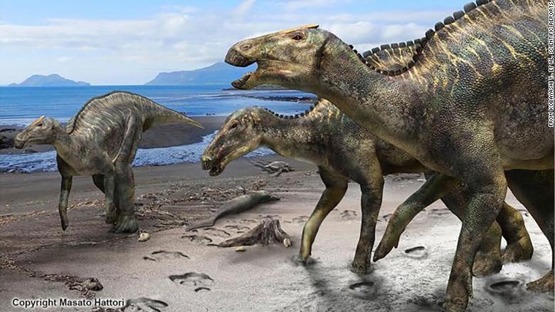 Phat hien hoa thach xuong loai khung long moi, lon nhat Nhat Ban hinh anh