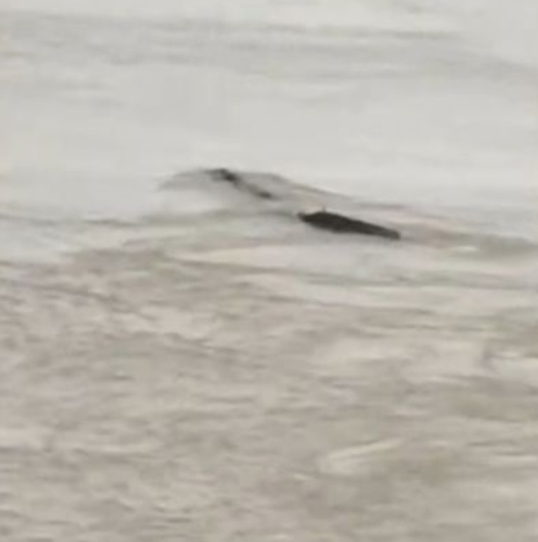 Quai vat ho Loch Ness phien ban Trung Quoc anh 1