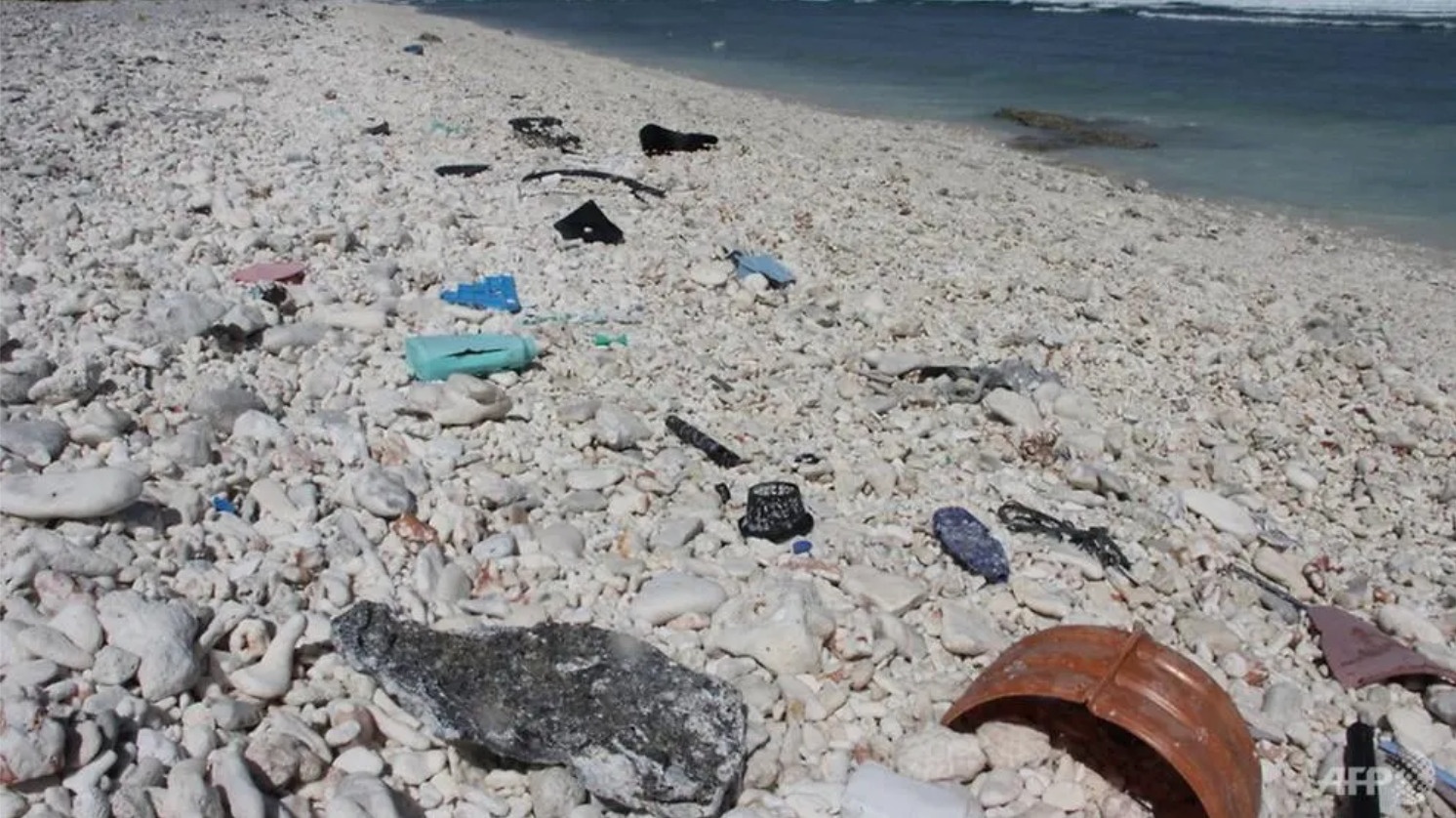 Thi truong Han Quoc len xa hang tan rac ra bien de 'co cai don dep' hinh anh