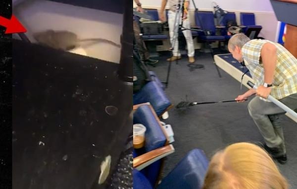 Chuot roi tu tran Nha Trang xuong dui phong vien gay nao loan hinh anh