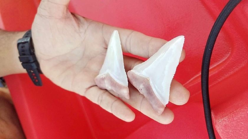 Ca map trang 6 m gay 2 chiec rang sau khi can thuyen kayak o My hinh anh