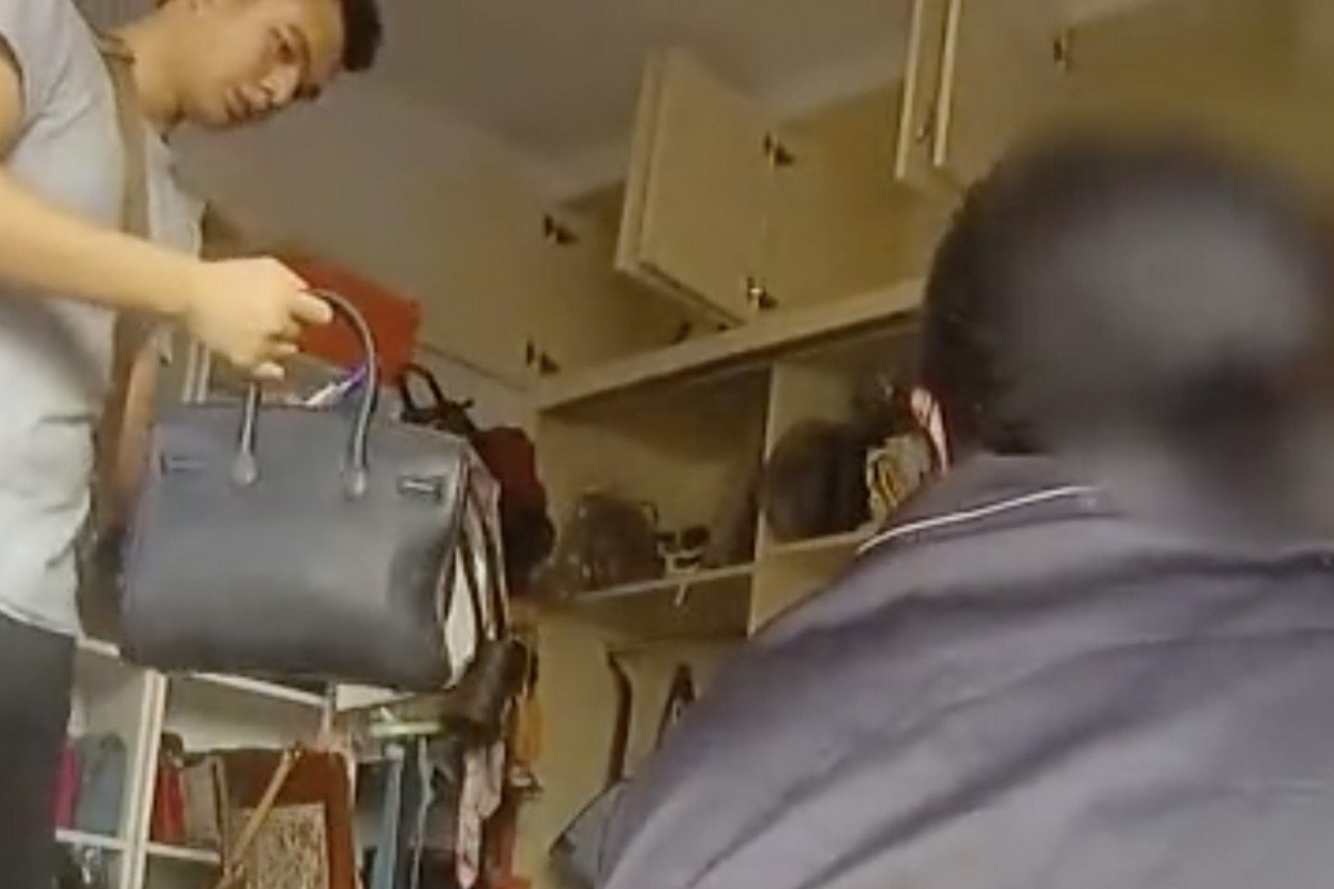 Me dung tui LV gia di cho mua thit, con ban hang online bi bat o TQ hinh anh