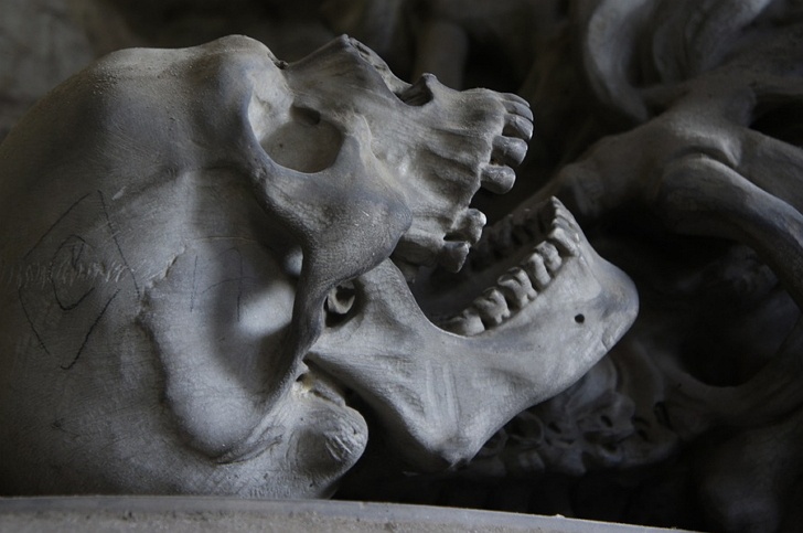 băng đảng ma túy Mexico ảnh 1 bang dang ma tuy Mexico anh 1