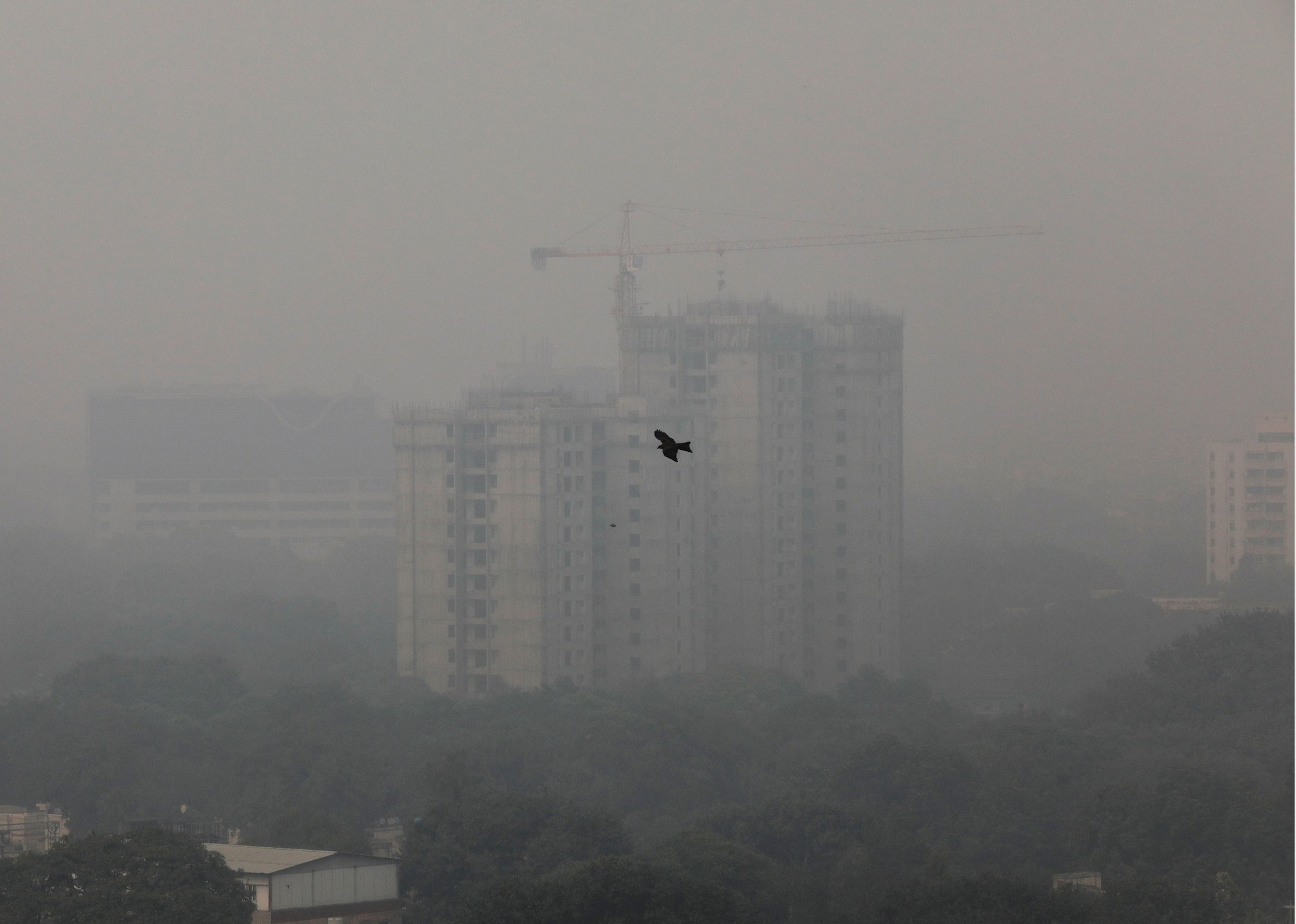 o nhiem khong khi o New Delhi anh 8