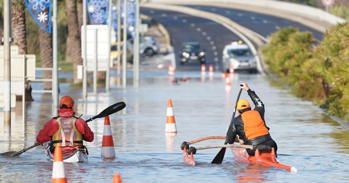 Bao lu nhan chim Phap,  Hy Lap va Italy anh 6