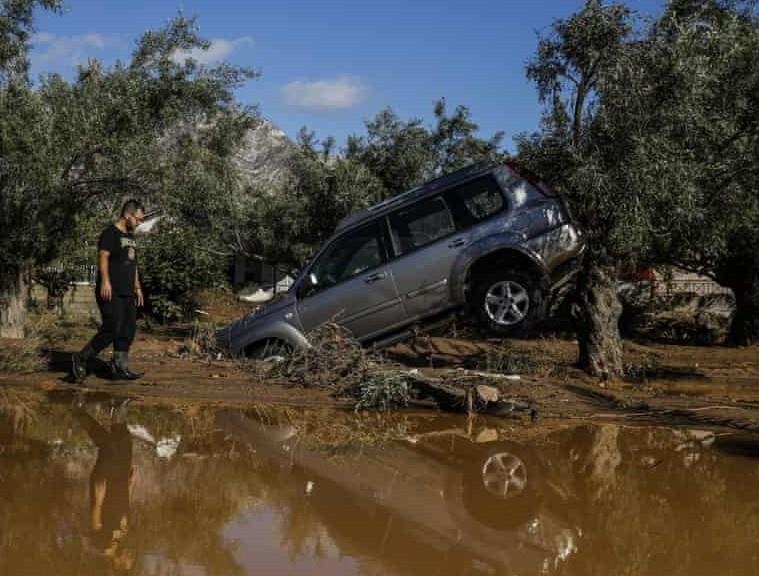 Bao lu 'huy diet' nhan chim chau Au hinh anh