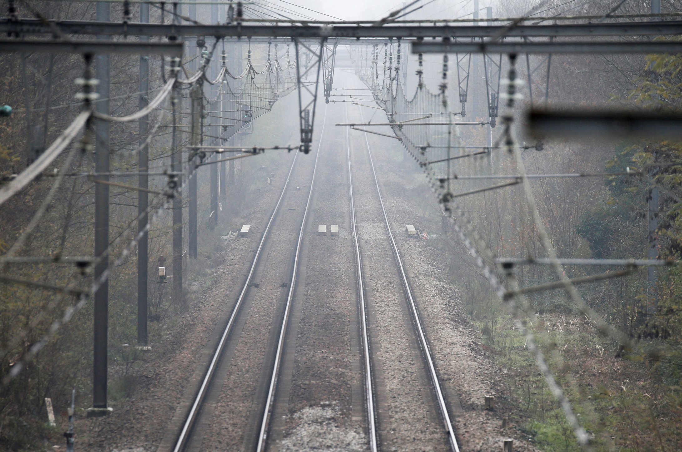 Phap dinh cong phan doi chinh sach huu tri anh 5