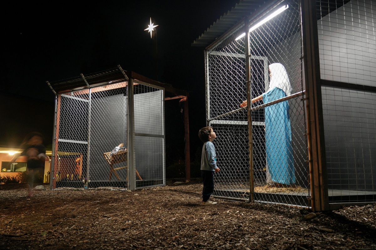 nui lua Dao Trang cua New Zealand anh 11