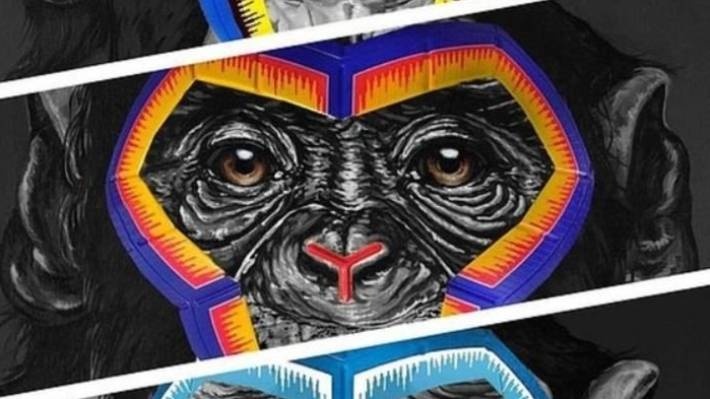 AC Milan chi trich Serie A dung tranh khi de chong ky thi chung toc hinh anh