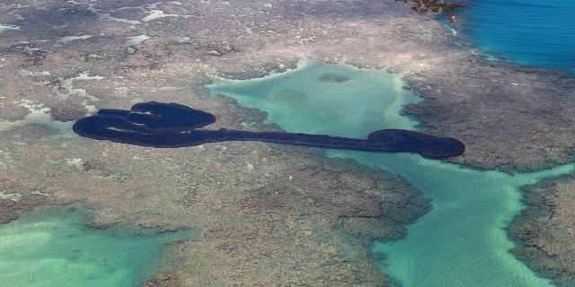 dau loang o bien Brazil anh 6