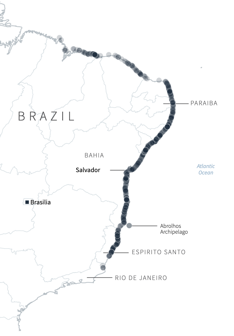 dau loang o bien Brazil anh 10