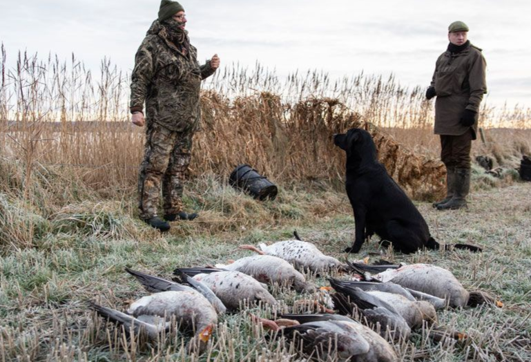 Ngong xam chiem quan dao o Scotland, nguoi dan phai an thit bot hinh anh