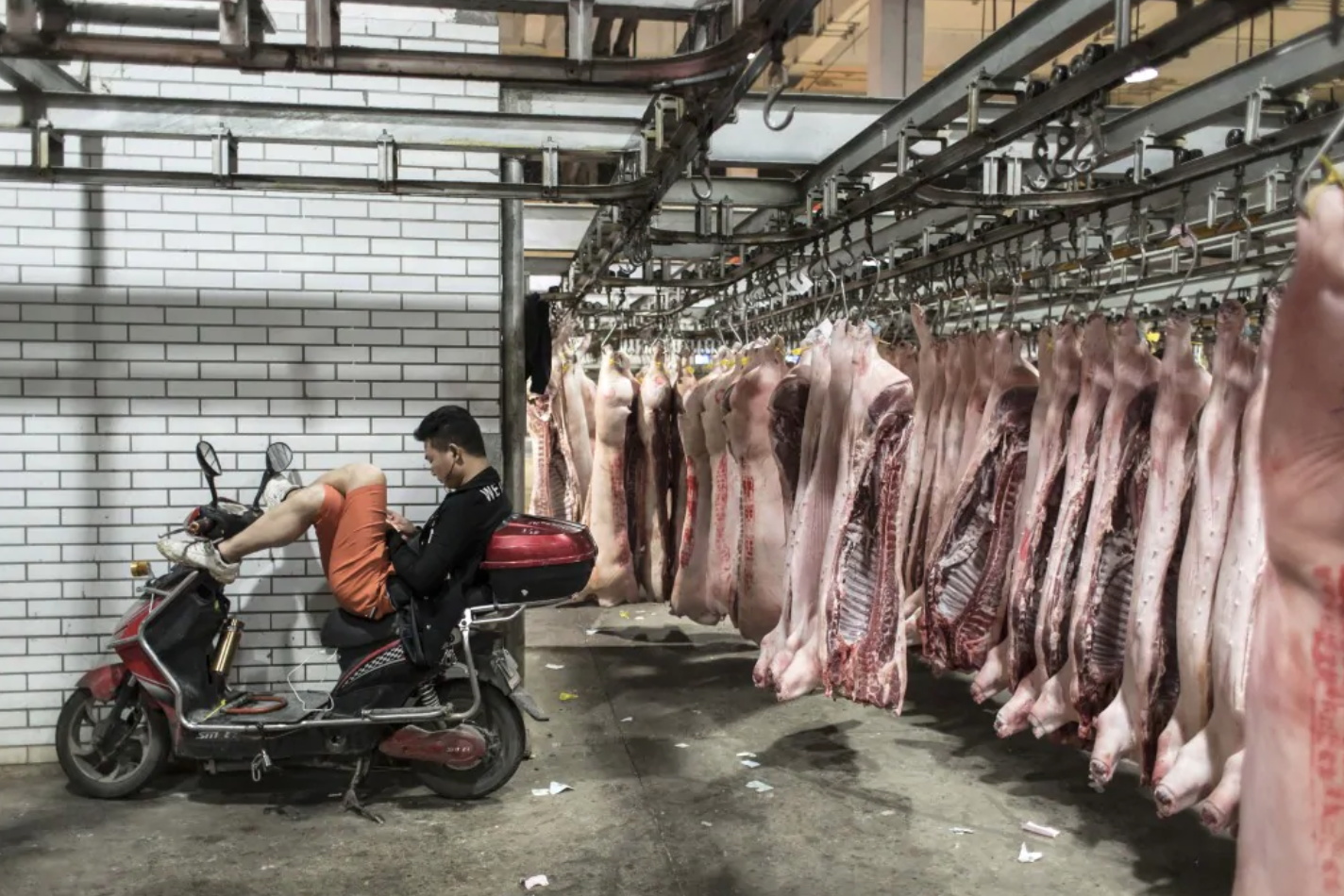 Trung Quoc giam thue thit lon anh 3