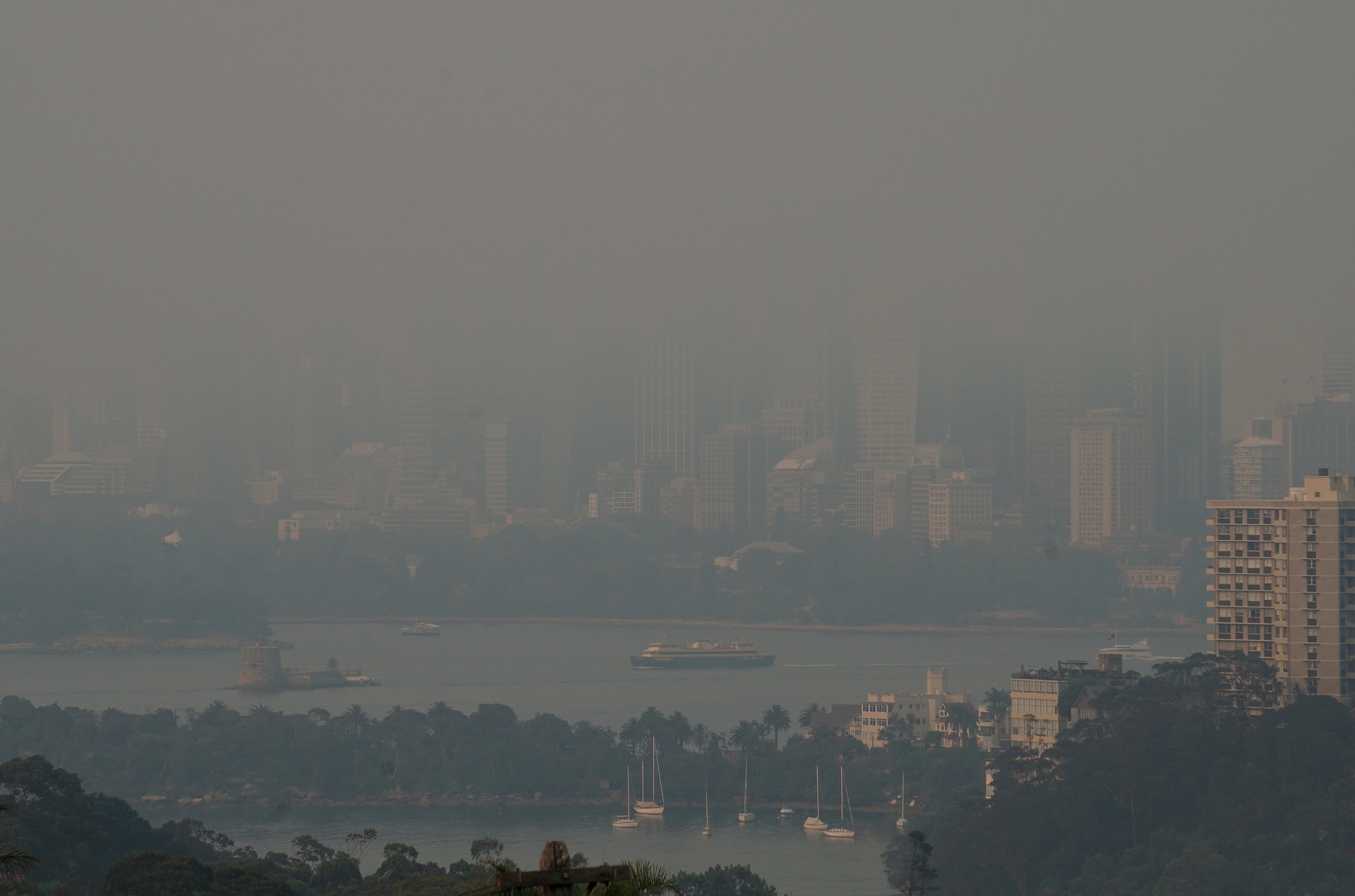 chay rung o Australia bao o Philippines anh 6