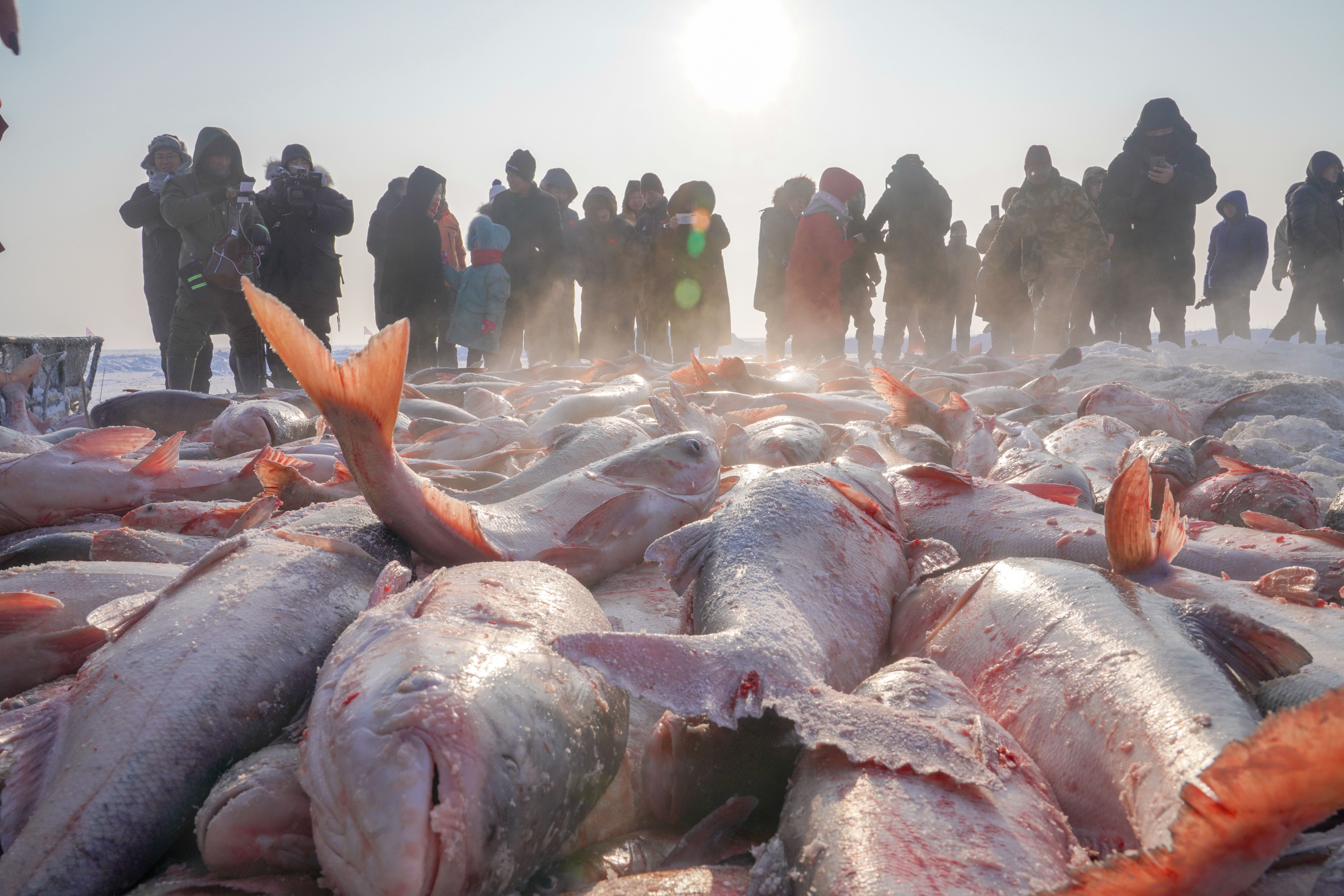 Le hoi cung te va cau ca khong lo tren bang o Trung Quoc hinh anh