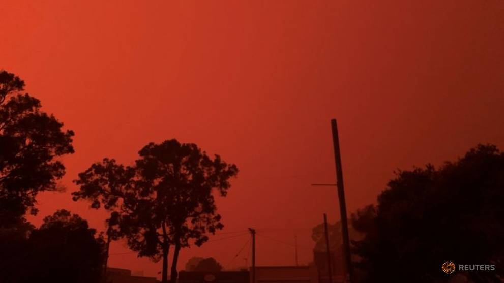 Australia do quach nhu mau vi chay rung anh 3