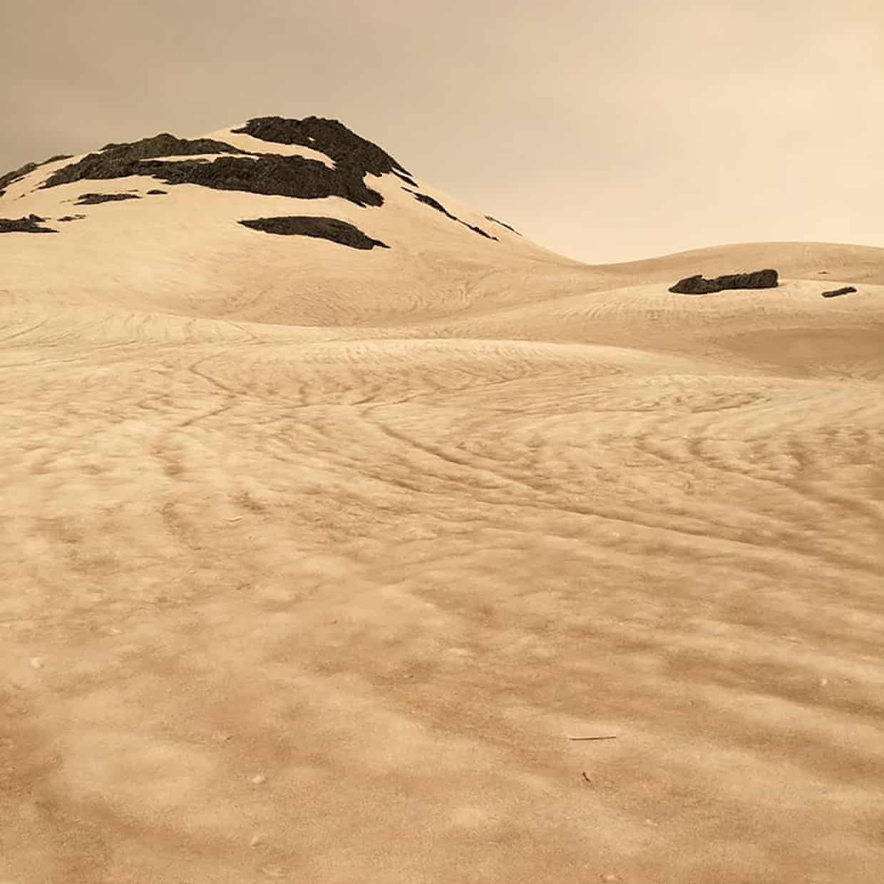 song bang New Zealand hoa nau vi tro tan anh 1