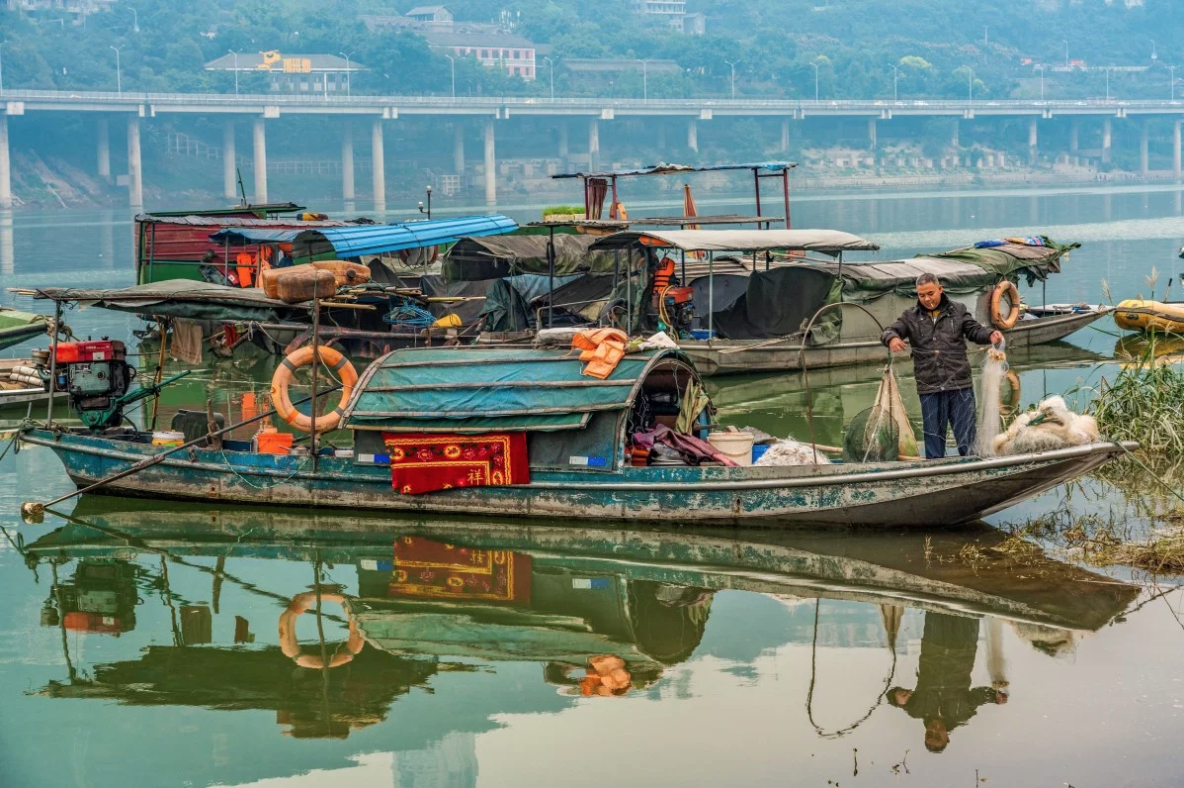 TQ cam danh bat ca tren song Duong Tu 10 nam de bao ve he sinh thai hinh anh