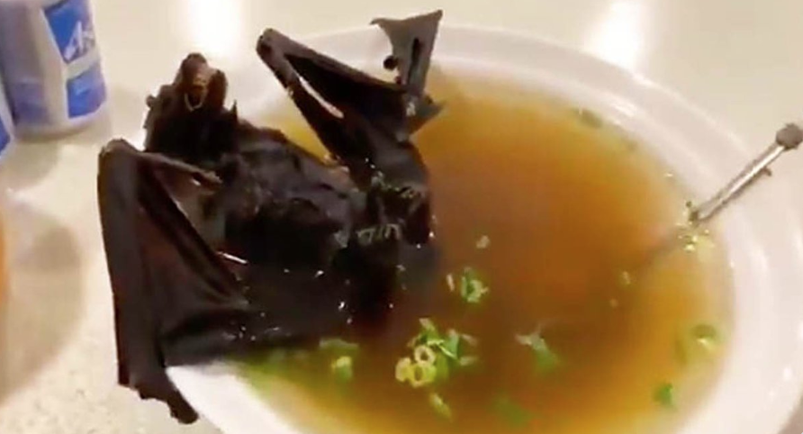 nguoi chau A phan biet chung toc virus corona anh 2