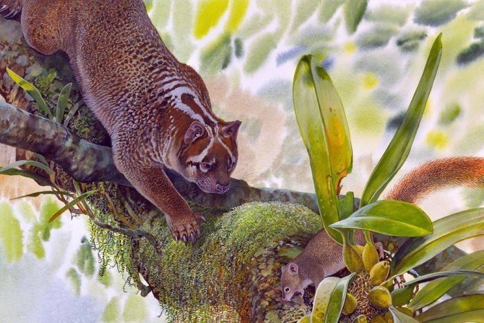 Phat hien hoa thach su tu co tui tuyet chung 23 trieu nam o Australia hinh anh