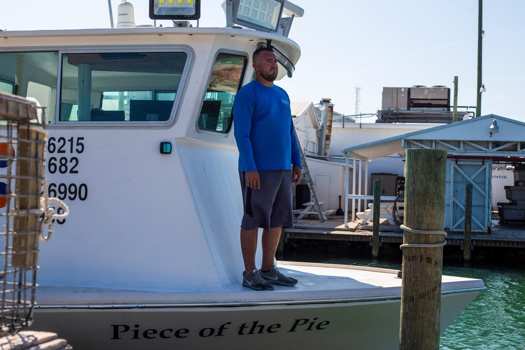 My khong ban duoc tom hum anh 1